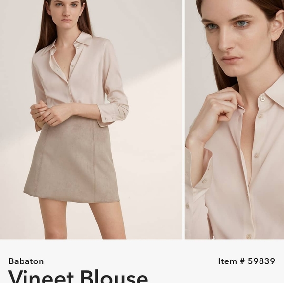 Aritzia Tops - ARITZIA BABATON Vineet silk blouse